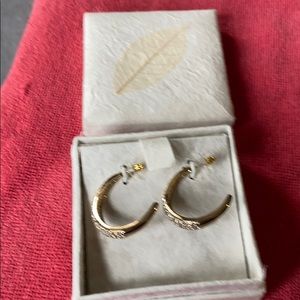 Gold loop earrings